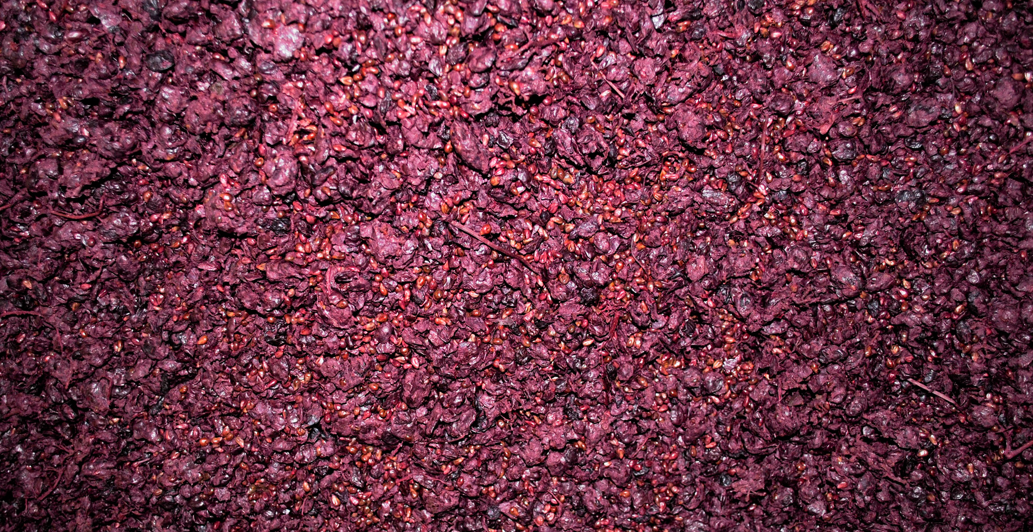 The Wine Journal Getting the grapes into the bottle Beyond the News